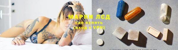 стаф Коряжма