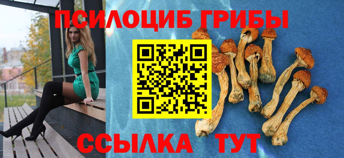 Верхняя Салда  Псилоцибиновые грибы Magic Shrooms  Вход с VPN 